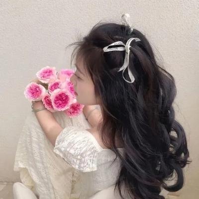 蒂科与鲨鱼