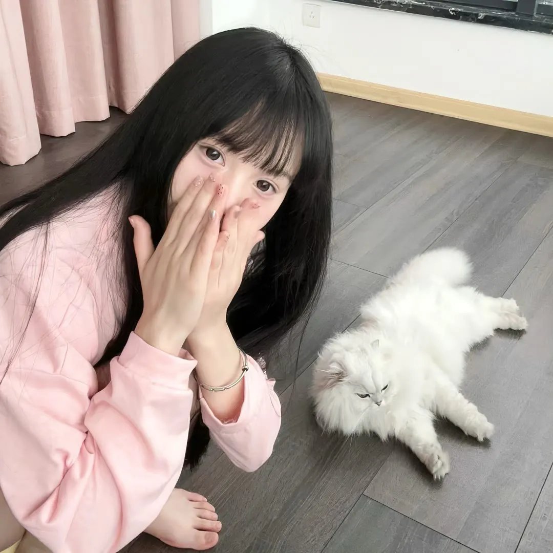 狗纹龙爸爸